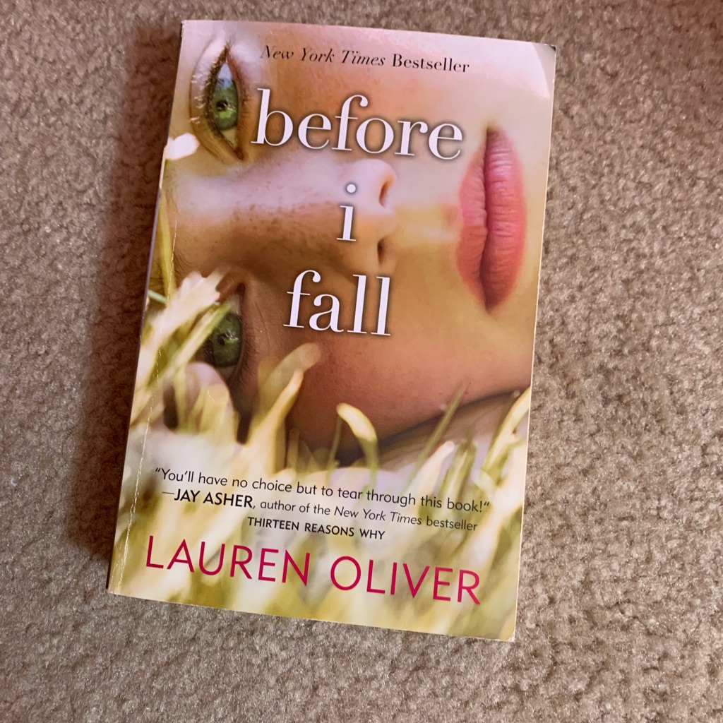 Before I Fall Book